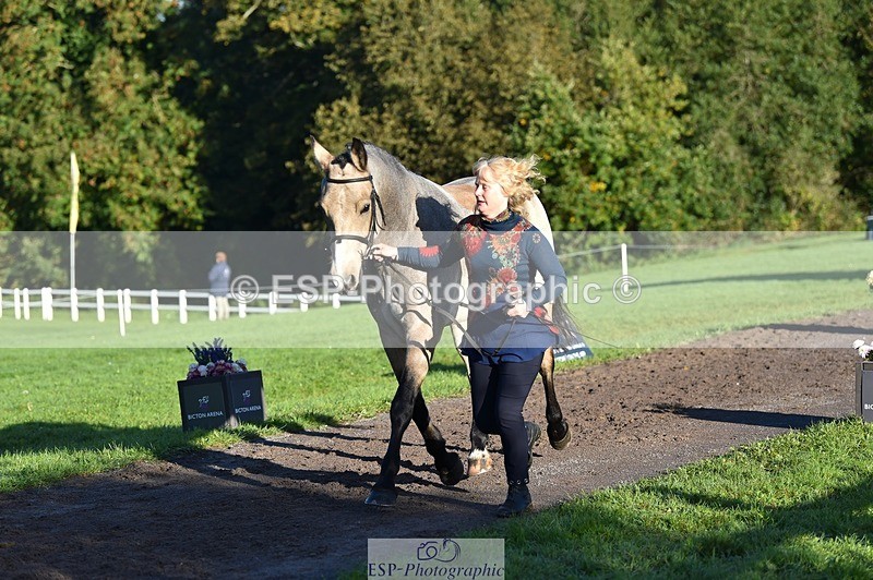 231022-093536-21900 - 471-LISCARROW.SHILOH-Justine.Walker-TrotUp+SJ