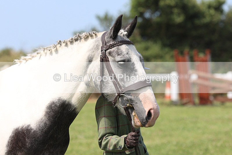 JPP_3445 - Class 22: Working Hunter 70cm