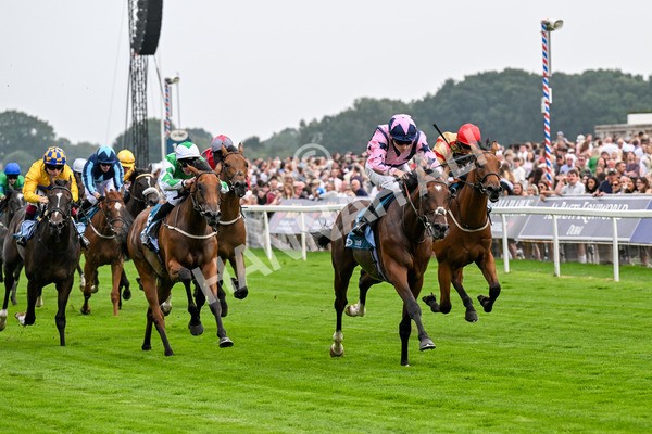 250725-Race 3-Amakhala Warrior-0514 - Race 3 6.38pm Ire-Incentive, It Pays To Buy Irish EBF Restricted Novice Stakes
