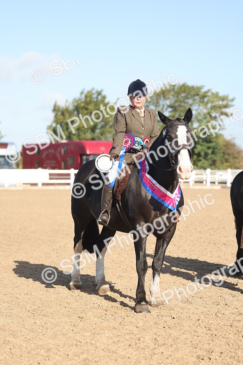 SBM_22236 - Class 802 - Ridden Groom Helpers Class