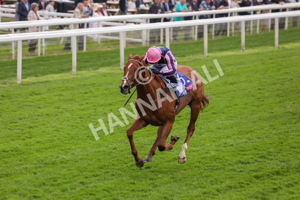 150524-Race 1-Crystal Delight-1438 - Race 1 2.15pm Sky Bet Race To The Ebor Jorvik Handicap