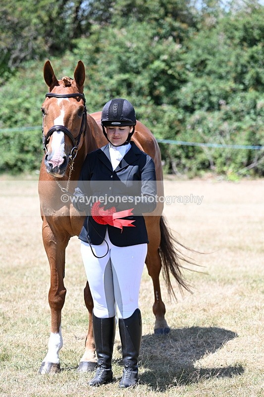 WJ7_2508 - Most Handsome Gelding Champs