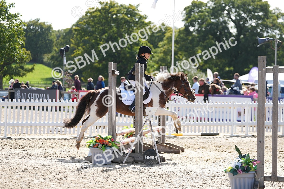 SBM_46579 - J7 - Junior Pony 60cm Championship
