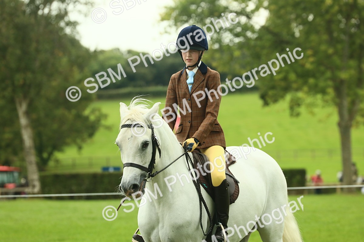 SBM_72183 - S60 - Mountain & Moorland Ridden Large Breeds