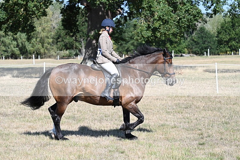 WJ7_3940 - Class 9 Mountain & Moorland Ridden