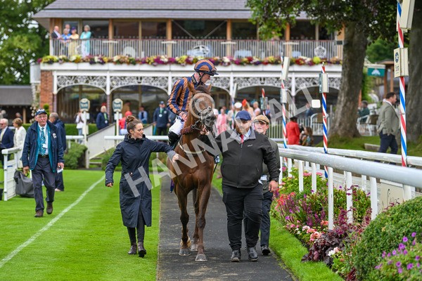 130724-Race 6-Zimmerman-7757 - Race 6 4.50pm John Smith's Stayers' Handicap