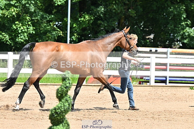 240718A-105251-01245 - Trot Up 12pm to 1pm