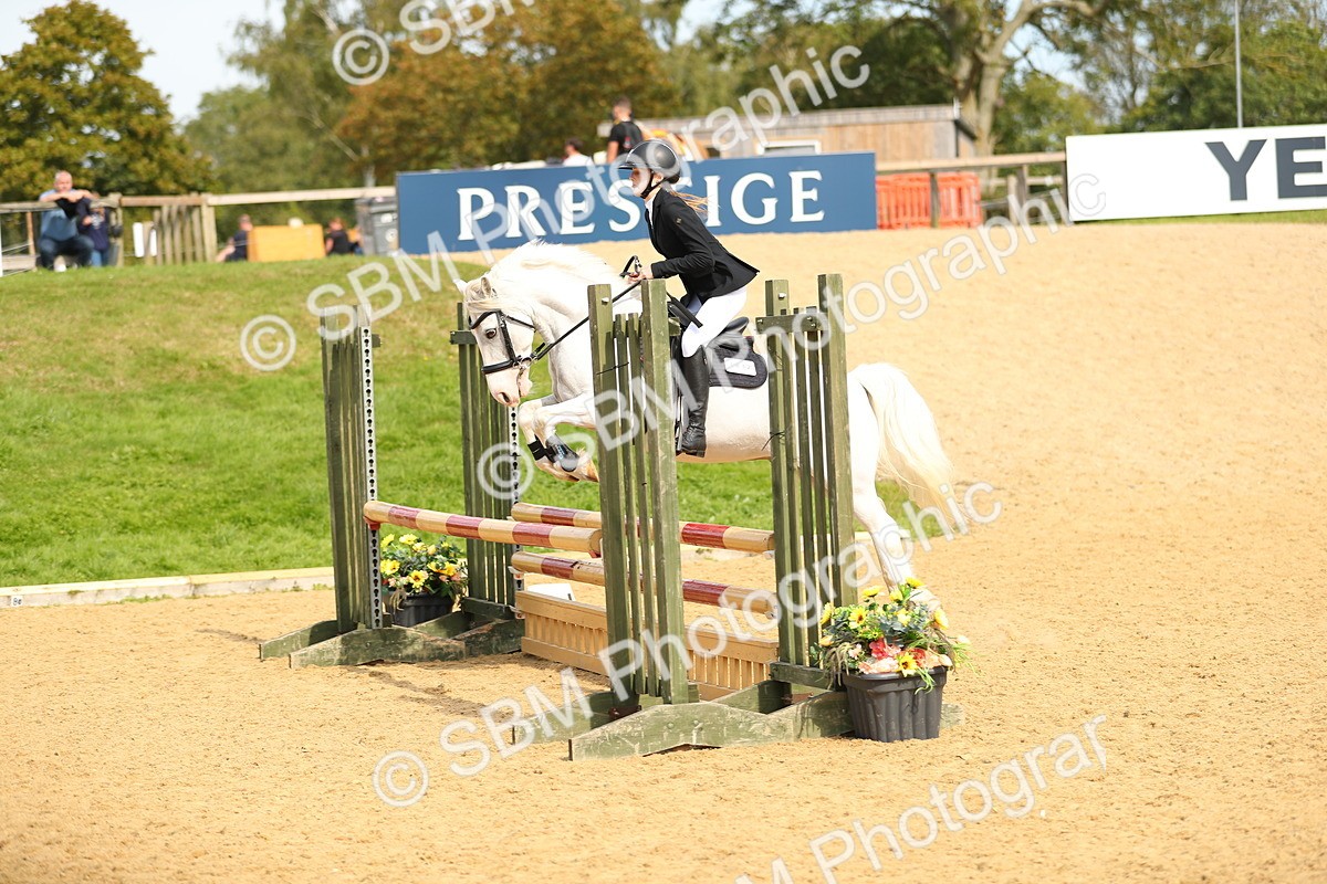 SBM_67272 - J17 - Junior Pony 80cm Championship