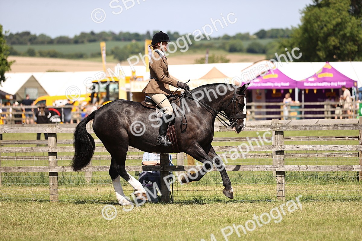 SBM_17846 - Class 81-83 - TSR Ridden Amateur of the Year - Horses