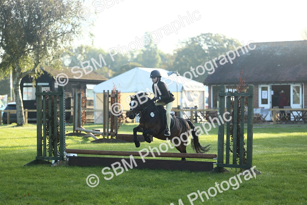 SBM_37300 - S29 - Novice & Newcomers Working Hunter Pony