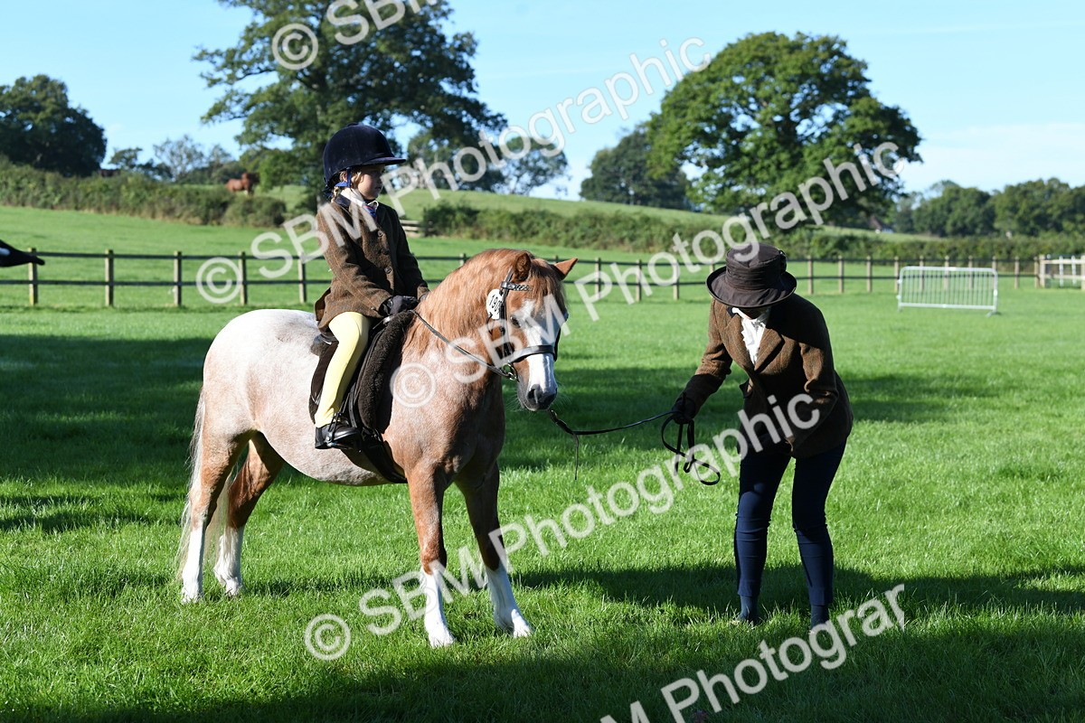 SBM_35428 - S17 - Condition & Turnout - Lead Rein