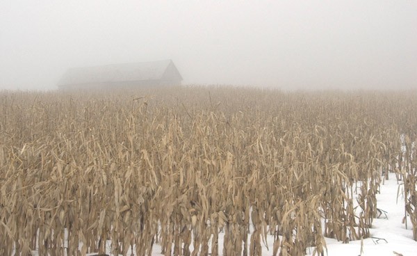  - 2008 First Place - (IPA) International Photography Awards