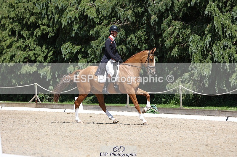 230526-140123-06438 - 370-DUKE_LEGACY-William_Fox-Pitt-WEDTrotUp+DR