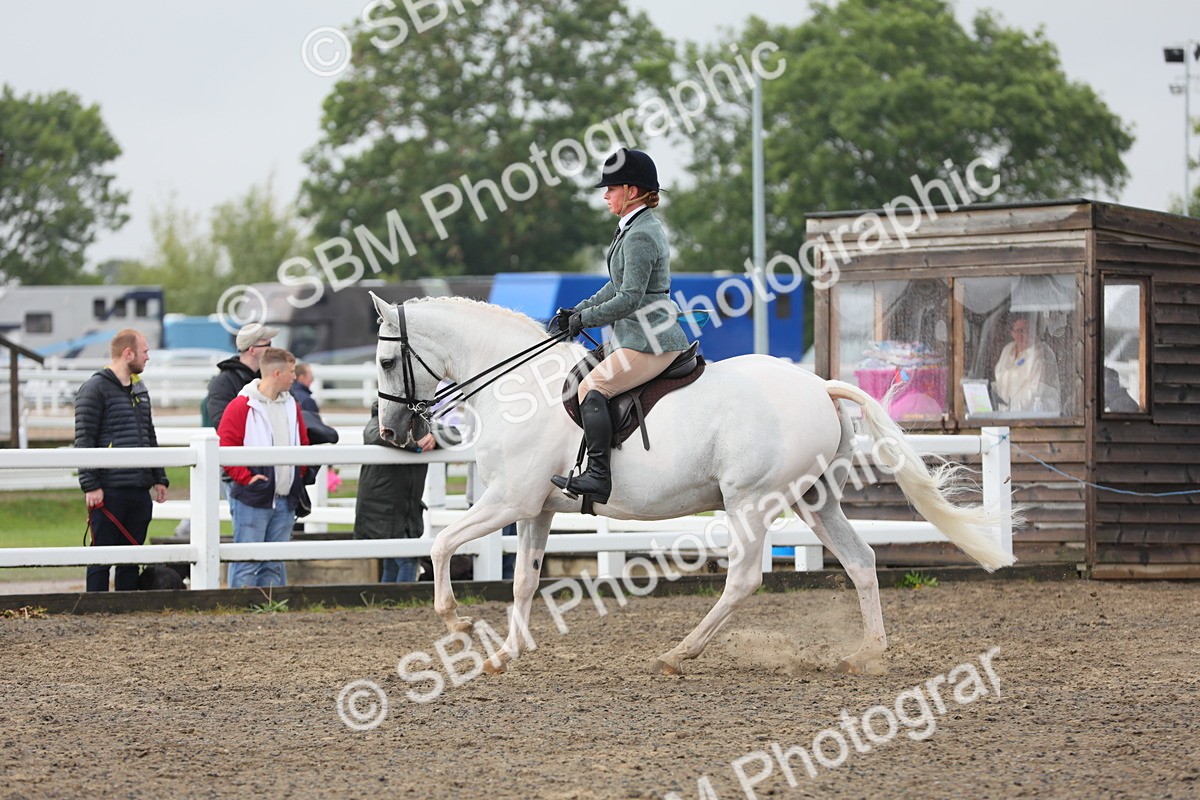 SBM_21276 - Class 805 - Ridden Veteran Horse