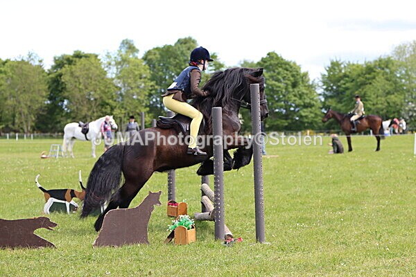 IMG_3265 - Working Hunter