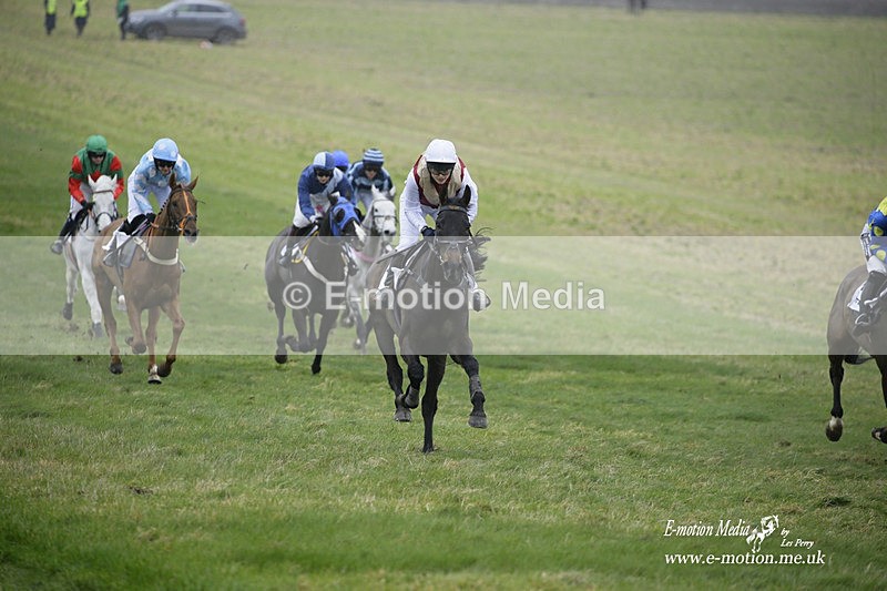 PtP 200222 479 - Countryside Alliance PtP Badbury Rings 20/02/22