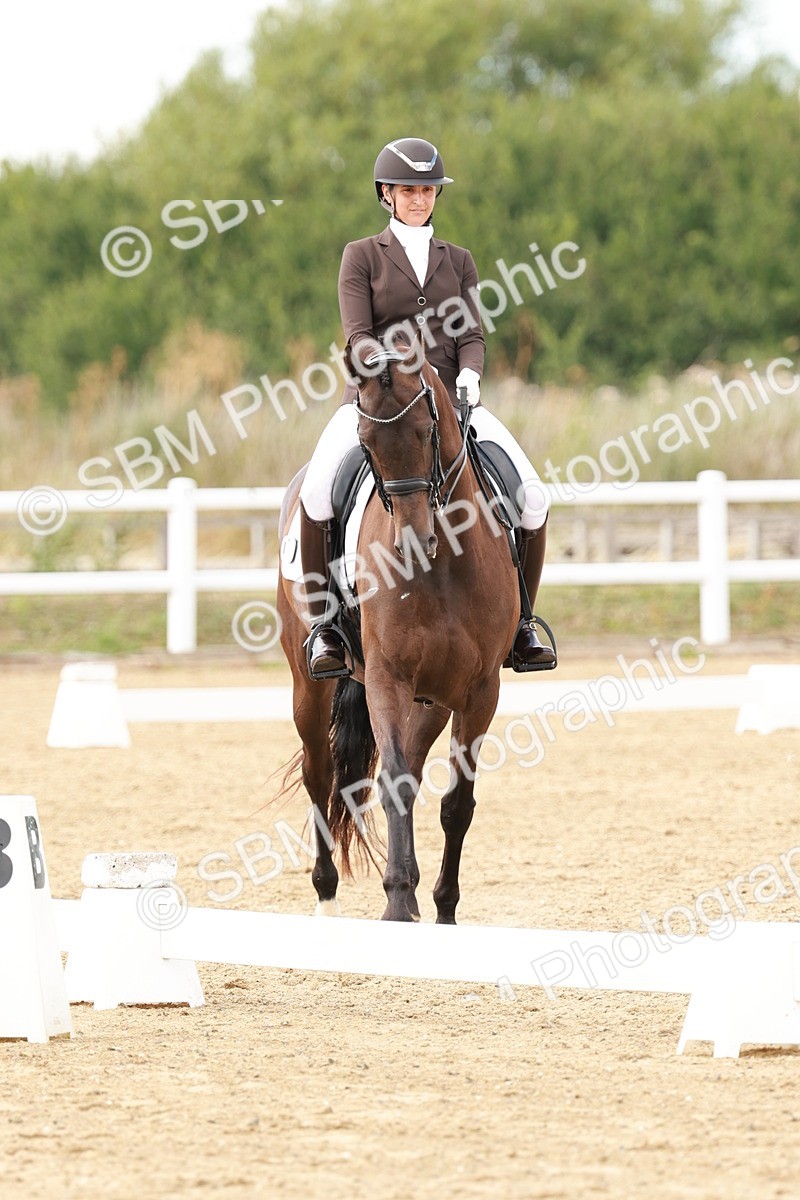 SBM_002367 - Class 11 - Medium 6