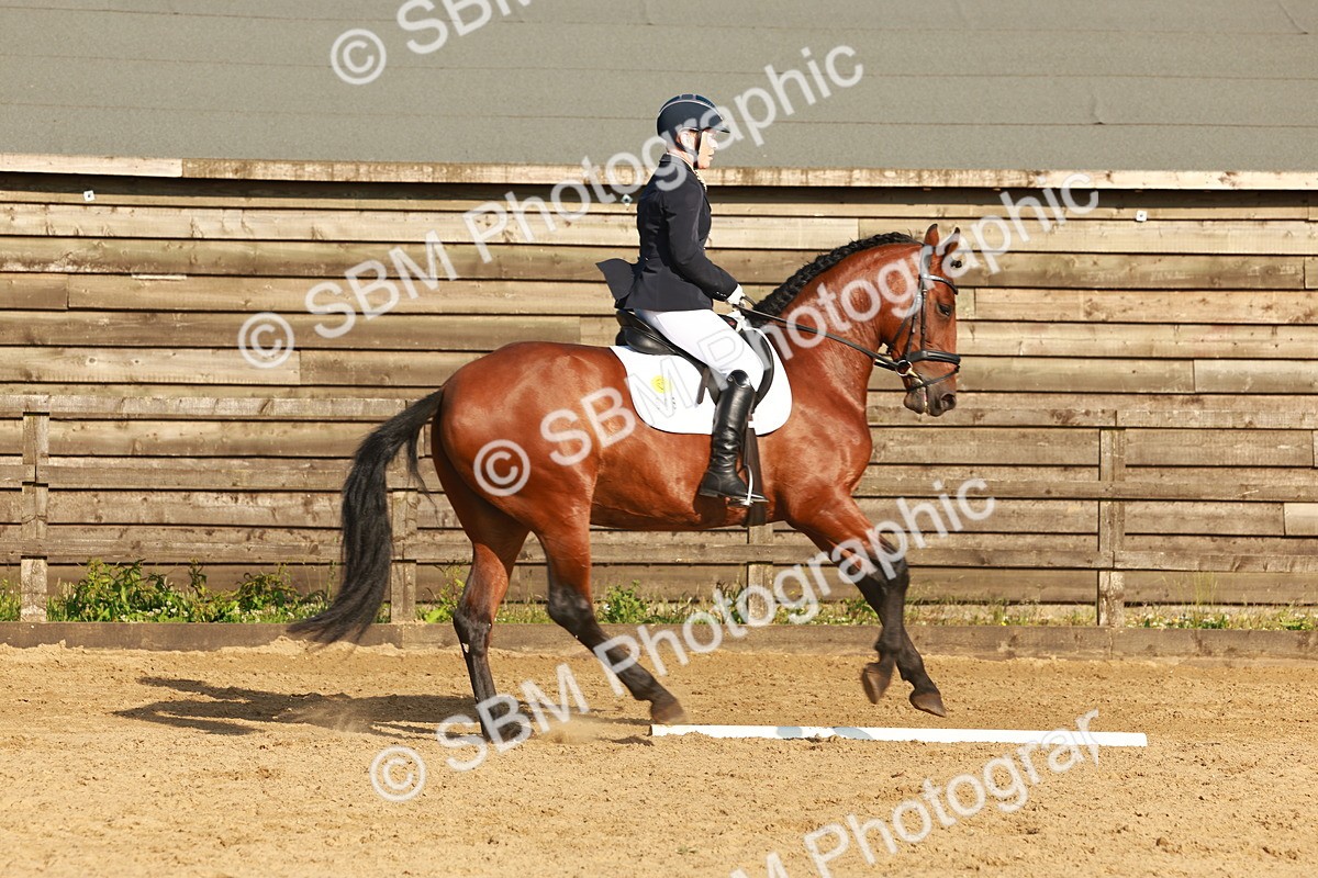 SBM_000382 - Class 5 - Novice 2
