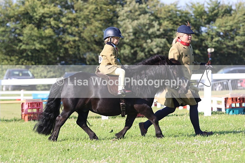 JPP_0931 - Class 16: Cornish Combination Leading Rein