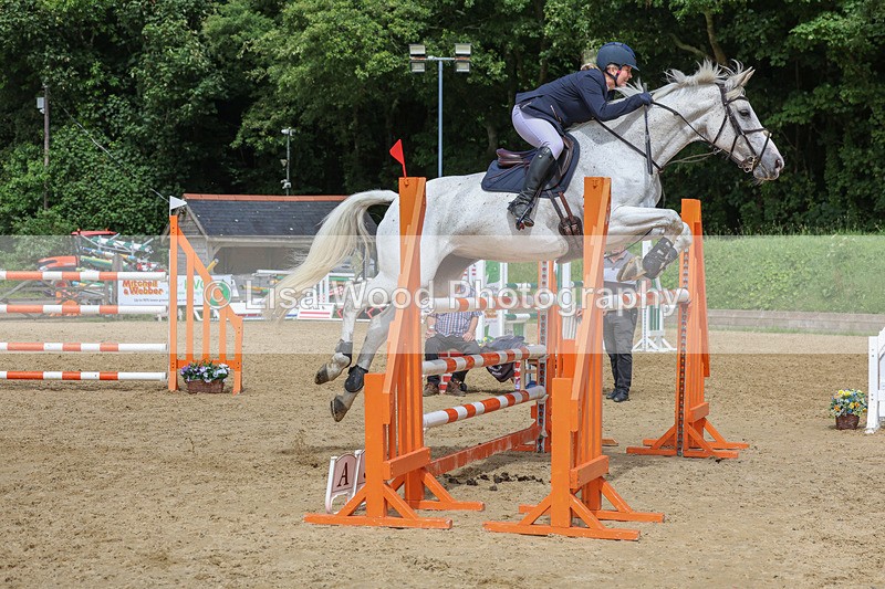3E7A7541 - Class 9: Senior Foxhunter/1.20 open