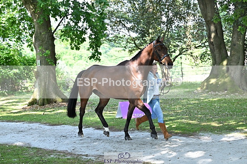 250521A-154343-00721 - B-358-Sammi.Birch-PARKFIELD.ARTIE.BLOU