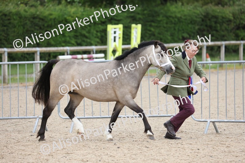 20250524-1090 - Championship