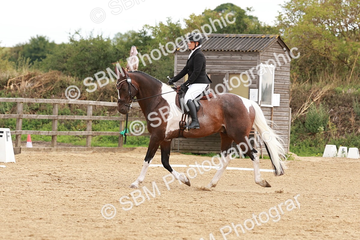 SBM_002741 - Novice 2
