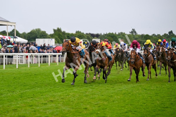 150624-Race 6-Pisanello-7986 - Race 6 4.45pm Ice Co Supporting Macmillan Handicap