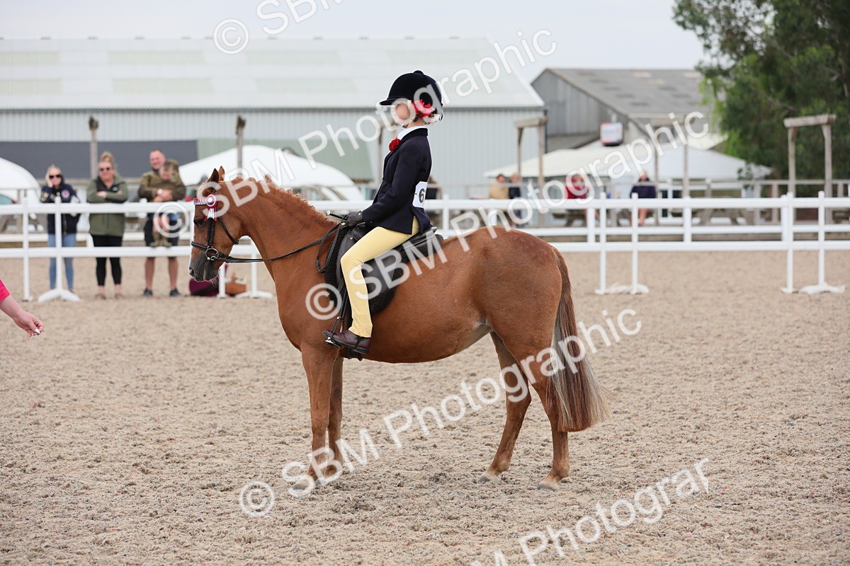 SBM_18149 - Class 316 Best Pony/Rider Combination
