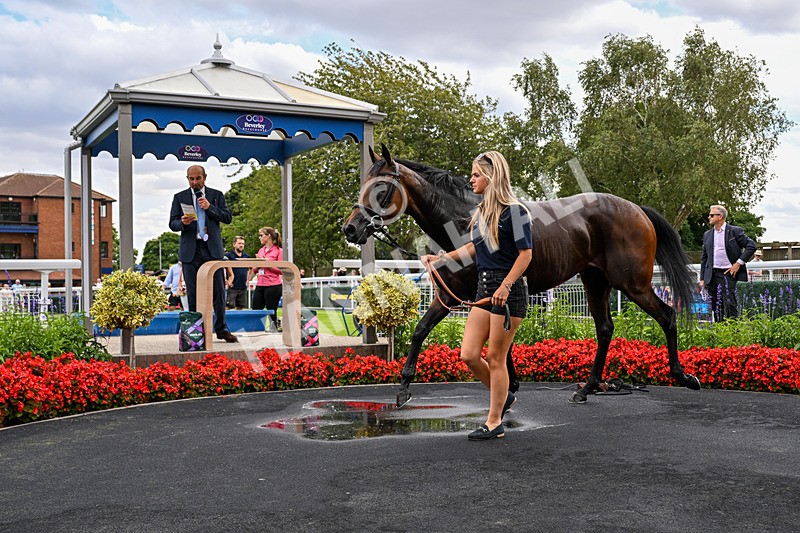280726-Race 2-Head Girl-1898 - Race 2 14.10pm Thank You Kathy Burne Selling Handicap