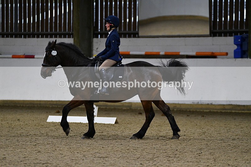 WJ5_8516 - Class 5 Novice Test 3