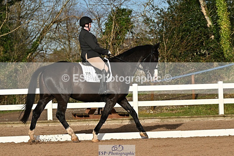 241214-132333-02408 - 119-Rosey.Bradburn-High.Spirits.II