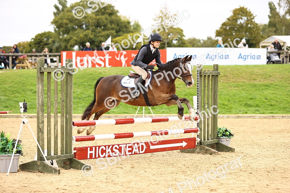 SBM_66518 - J17 - Junior Pony 80cm Championship