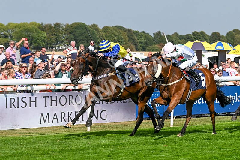 240825-Race 2-Smart Vision-1992 - Race 2