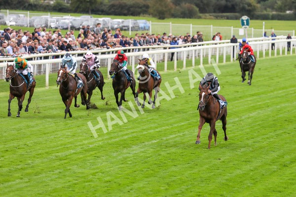 230923-Race 2-Palamon-5233 - Race 2 2.35pm jigsawsportsbranding.co.uk Handicap