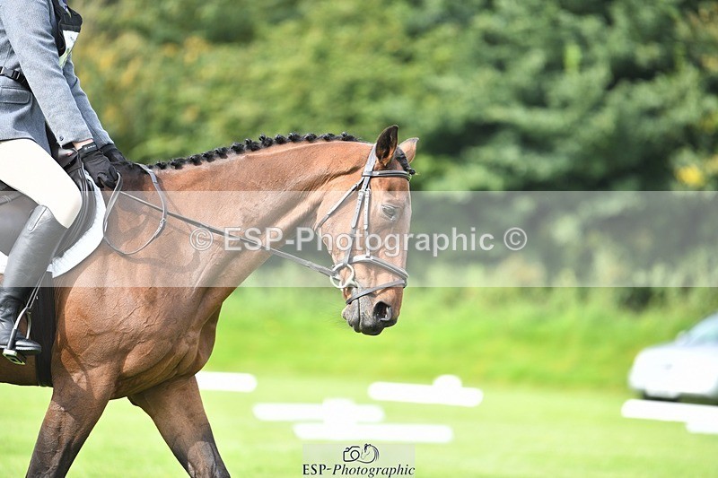 230826-101655-15424 - Sections C & D 10 to End