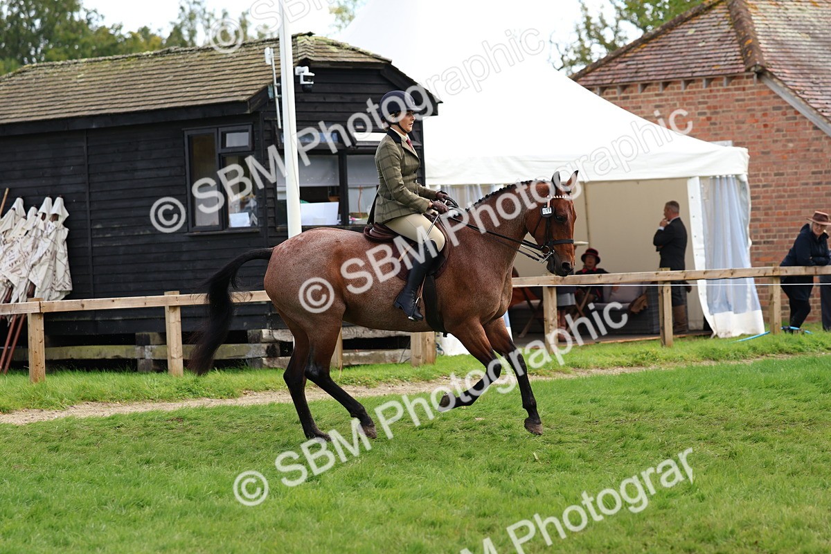 SBM_45212 - S27 - Young Veteran Ridden