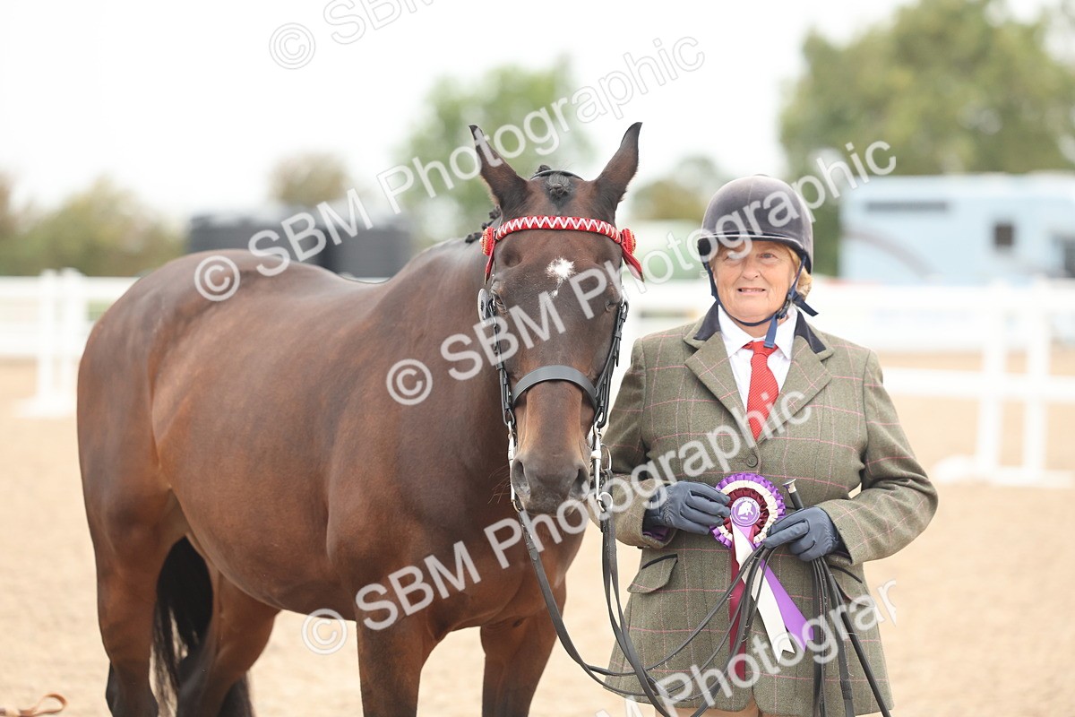 SBM_19905 - Class 318 - IH Part Bred Horse-Pony
