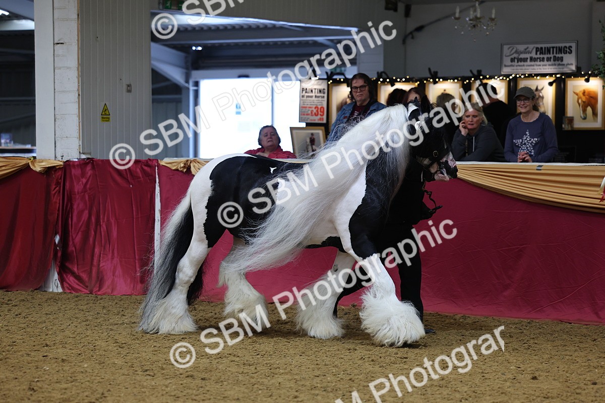 SBM_22651 - Class 903 - Supreme Final - IH Pre Vet