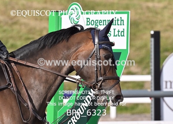 BPP_6323 - CLASS 11 THURS GFS Saddles Senior Newcomers/1.10m Open