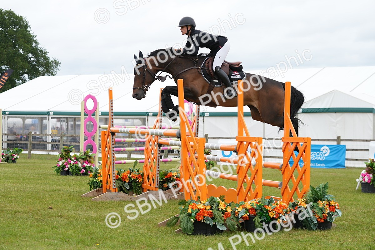 SBM_03094 - Class 201 - British Horse Feeds Speedi Beet Horse of the Year Show Grade  C