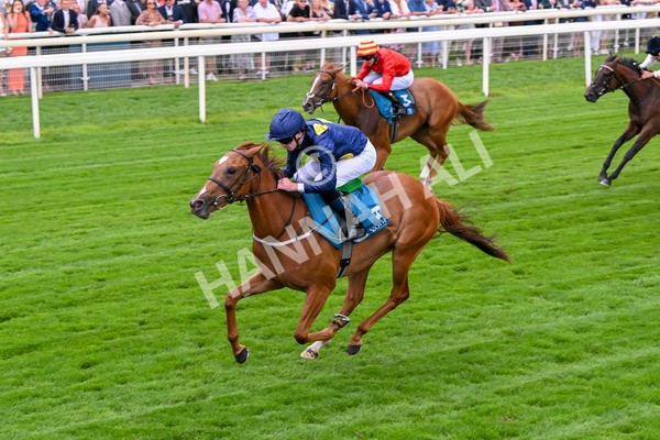 260725-Race 1-Golden Palace-7110 - Race 1 1.25pm £100K ITV7 Jackpot Today EBF Fillies' Novice Stakes