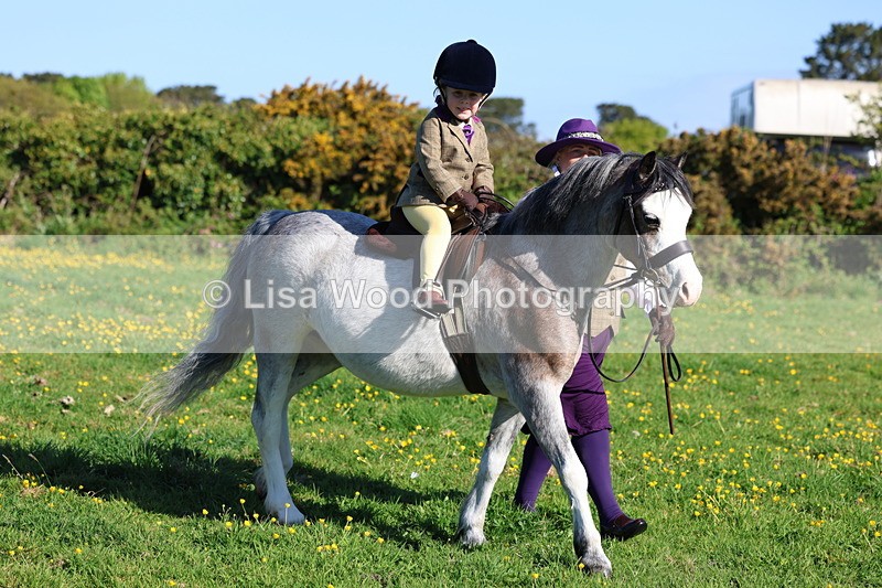 3E7A8498 - Class 2: Lead rein