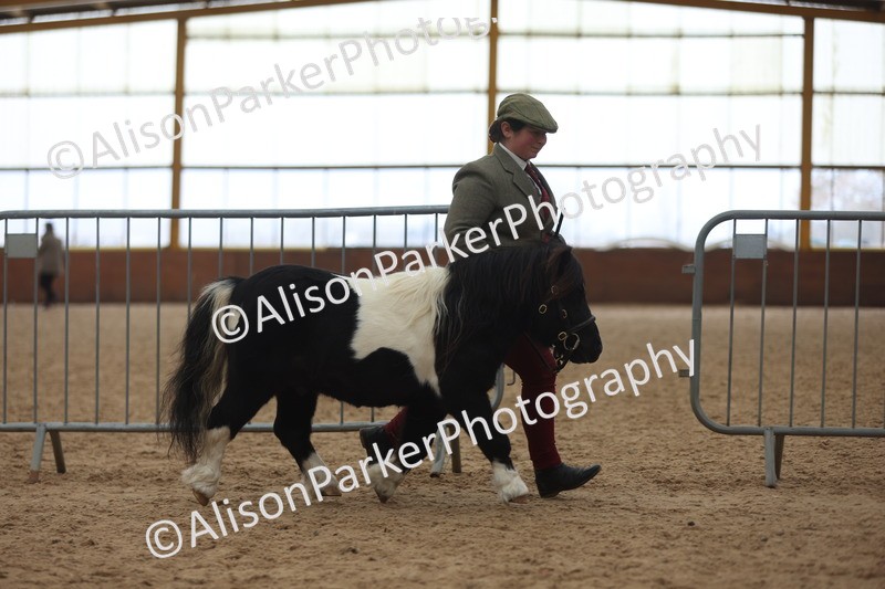 20251109-0441 - Championship