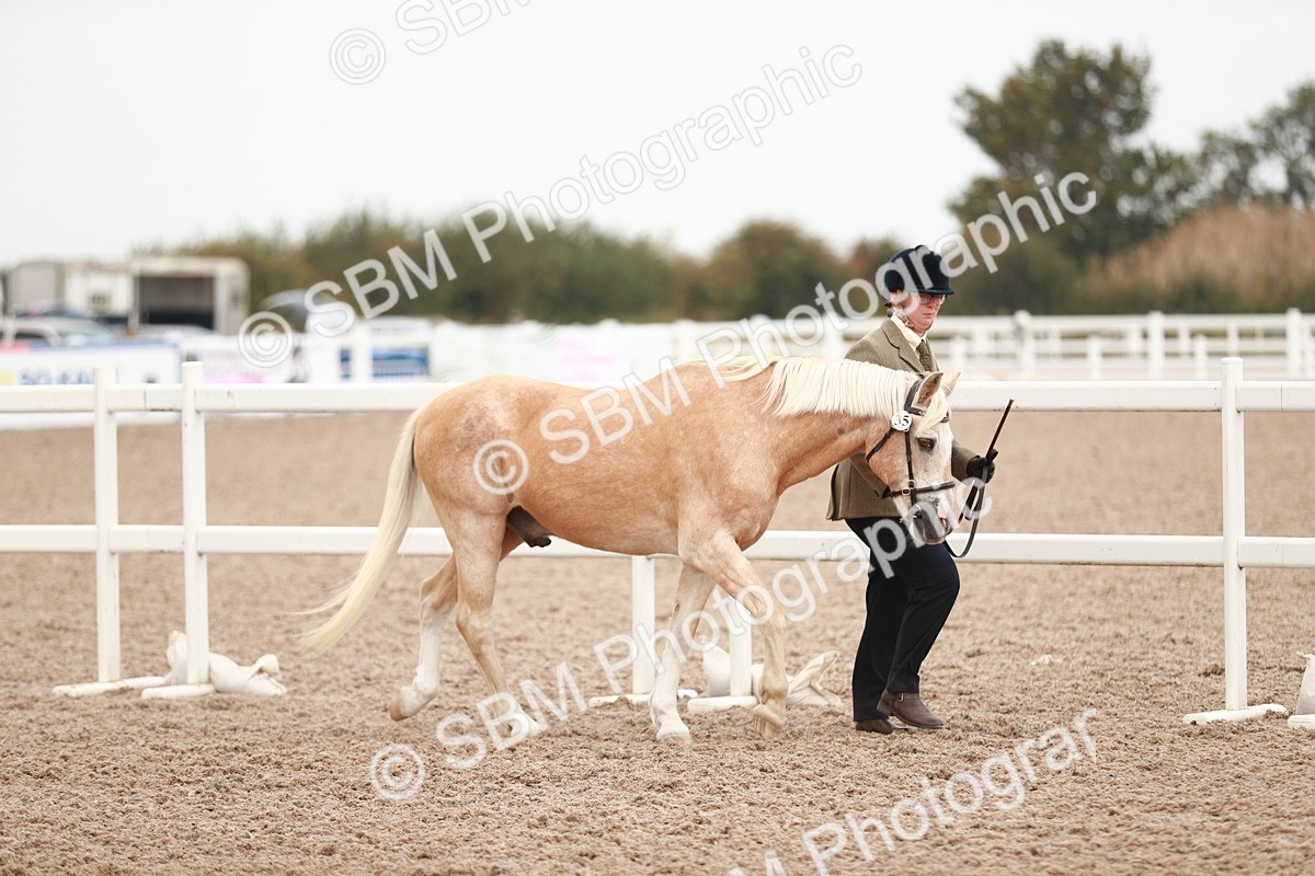 SBM_12394 - Class 207 IH M&M