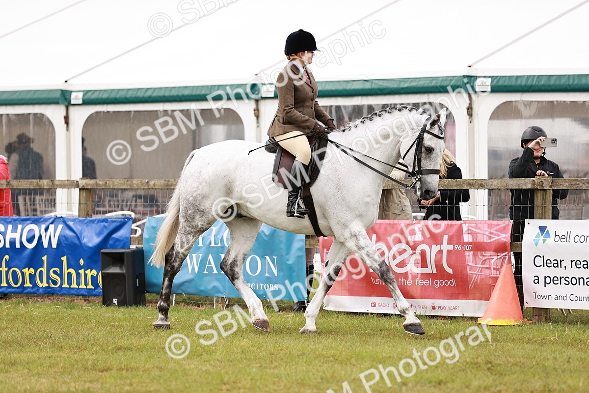 SBM_11533 - Class 81-84 - RIHS Ridden hunters Inc Ladies Hunter