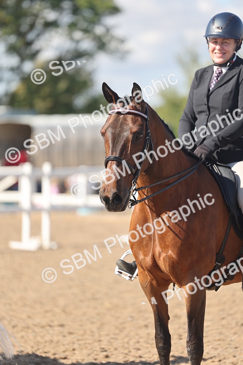 SBM_13077 - Class 305 - Ridden Foreign Breed Pure Bred