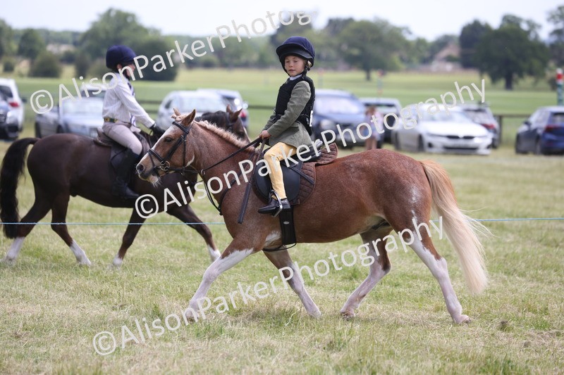 20260614-2057 - Class 21 - Novice Working Hunter Pony