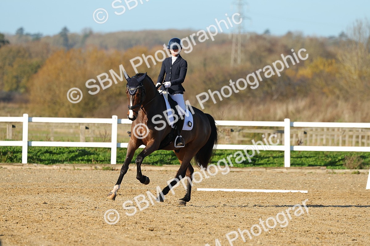 1I0A4647 - Class 5 - Novice 5