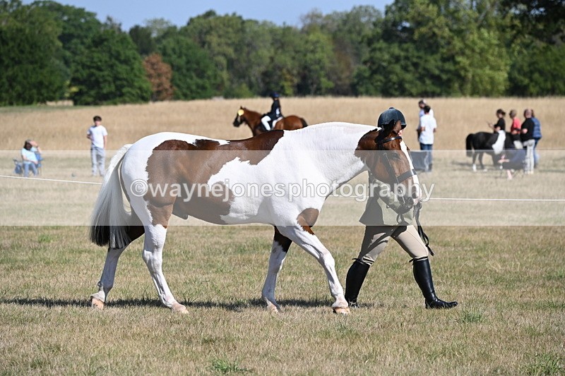 WJ6_4170 - Class 16 Condition & Turn Out